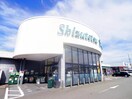 しずてつストア駿河台店(スーパー)まで335m 東海道本線/藤枝駅 バス11分桜通り下車:停歩3分 1階 築12年