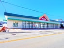 Ｖ・ｄｒｕｇ駿河西脇店(ドラッグストア)まで634m 東海道本線/静岡駅 バス15分登呂コープタウン入口下車:停歩7分 3階 築11年