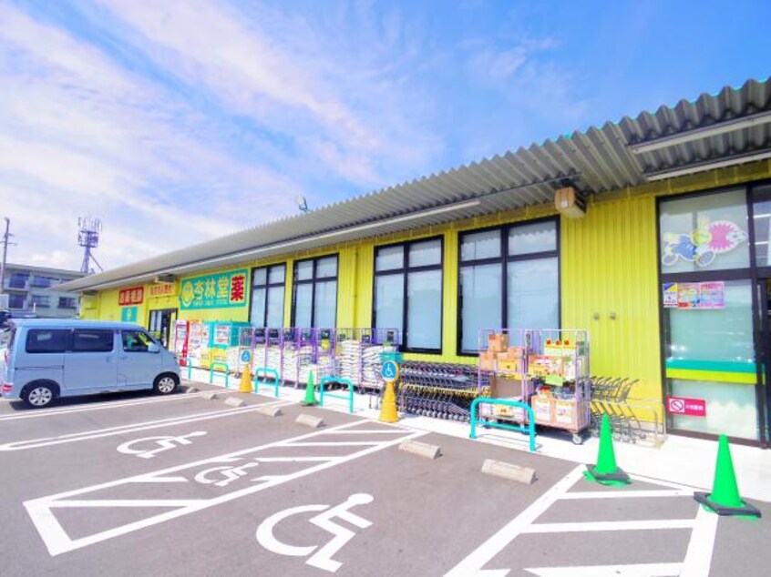 杏林堂薬局藤枝田沼店(ドラッグストア)まで528m 東海道本線/藤枝駅 徒歩11分 2階 築27年