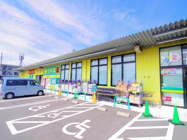 杏林堂薬局藤枝田沼店(ドラッグストア)まで531m 東海道本線/藤枝駅 徒歩11分 1階 築28年