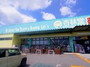杏林堂スーパードラッグストア藤枝青島店(ドラッグストア)まで770m 東海道本線/藤枝駅 徒歩23分 1階 築11年