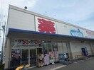 ウエルシア藤枝茶町店(ドラッグストア)まで885m 東海道本線/藤枝駅 バス8分勝草橋下車:停歩3分 1階 築12年
