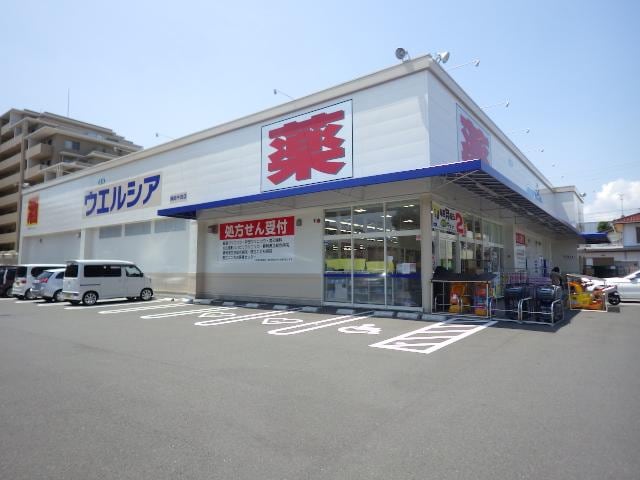 ウエルシア静岡中田店(ドラッグストア)まで289m 東海道本線/静岡駅 徒歩15分 2階 築9年