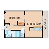東海道本線/静岡駅 徒歩19分 4階 築13年 1LDKの間取り