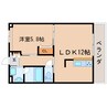 東海道本線/静岡駅 徒歩19分 2階 築13年 1LDKの間取り