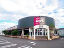 ステーキのあさくま宮竹店(その他飲食（ファミレスなど）)まで2173m 東海道本線/静岡駅 バス23分大谷下車:停歩4分 1階 築8年