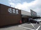 ヒバリヤ新鮮市場小土店(スーパー)まで1112m 東海道本線/焼津駅 徒歩14分 2階 築6年