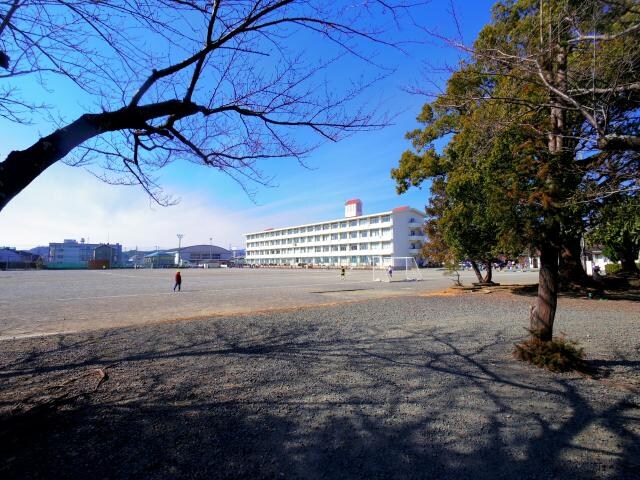 藤枝市立青島東小学校(小学校)まで876m 東海道本線/藤枝駅 バス8分勝草橋下車:停歩4分 2階 築8年