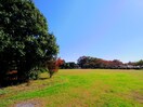 高松公園(公園)まで350m 東海道本線/静岡駅 バス24分登呂コープタウン下車:停歩3分 1階 築7年