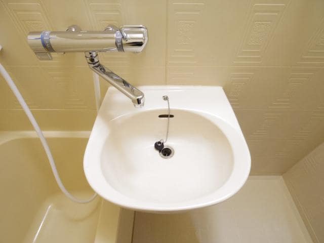 ユニット洗面 東海道本線/静岡駅 バス20分宮川下車:停歩3分 2階 築29年