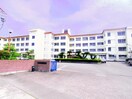 藤枝市立高洲小学校(小学校)まで1334m 東海道本線/藤枝駅 徒歩14分 2階 築12年