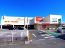 ザ・ビッグ藤枝田沼店(ディスカウントショップ)まで2046m 東海道本線/藤枝駅 徒歩22分 2階 築2年