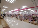 ダイソーイトーヨーカドー静岡店(100均)まで1322m 東海道本線/静岡駅 徒歩15分 1階 築2年