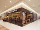 スターバックスコーヒーアピタ静岡店(カフェ)まで732m 東海道本線/静岡駅 バス11分中田4丁目下車:停歩4分 1階 建築中