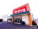 Ｖ・ｄｒｕｇ藤枝水守店(ドラッグストア)まで763m 東海道本線/藤枝駅 バス18分成田山前停下車:停歩4分 1階 築31年