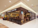 スターバックスコーヒーアピタ静岡店(カフェ)まで479m 東海道本線/静岡駅 バス12分石田ＳＢＳ学苑入口下車:停歩2分 3階 築20年