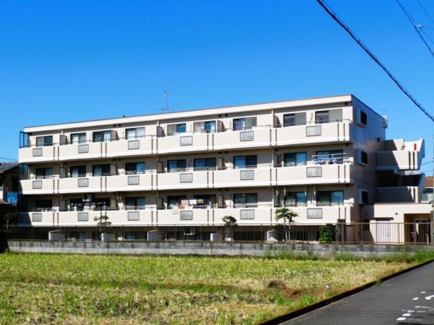  東海道本線/静岡駅 徒歩16分 1階 築34年