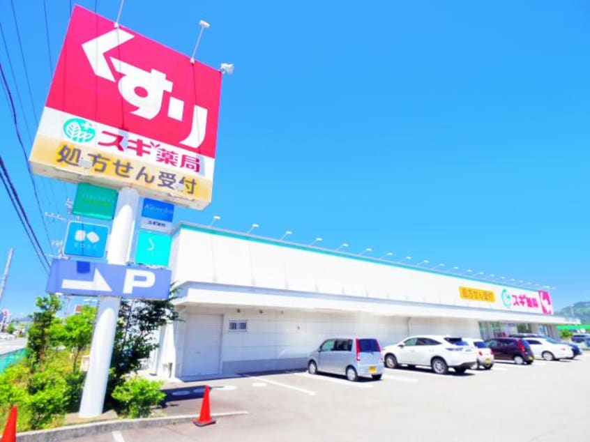 スギ薬局大覚寺店(ドラッグストア)まで226m 東海道本線/焼津駅 バス12分大覚寺下車:停歩6分 2階 1年未満