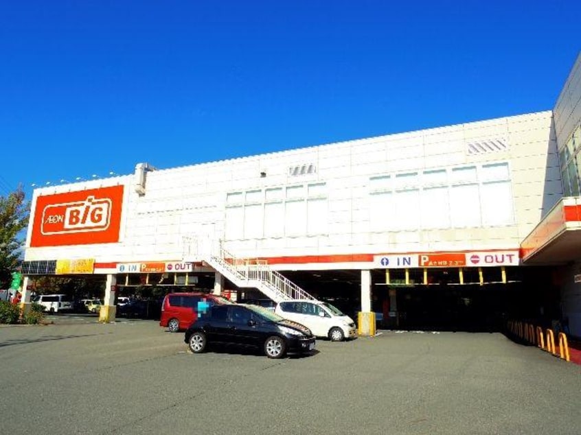 ザ・ビッグ静岡新伝馬店(ディスカウントショップ)まで1456m 東海道本線/静岡駅 バス21分御新田上下車:停歩4分 1階 築21年