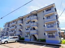 東海道本線/静岡駅 バス:32分:停歩3分 2階 築28年の外観