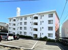 東海道本線/安倍川駅 徒歩16分 1階 築44年の外観