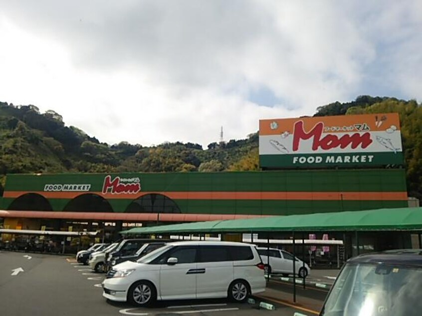 フードマーケットＭｏｍ城北店(スーパー)まで731m 東海道本線/静岡駅 バス21分池ヶ谷下車:停歩5分 1階 築41年