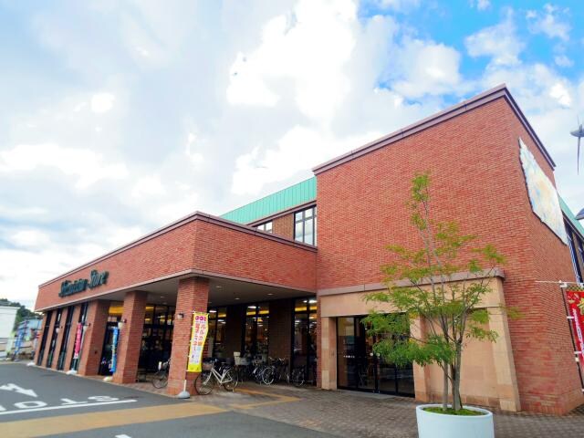 しずてつストア(スーパー)まで920m 静岡鉄道静岡清水線/古庄駅 徒歩3分 2階 築8年