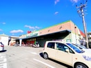 マム生鮮市場(スーパー)まで190m 東海道本線/安倍川駅 徒歩9分 1階 築7年