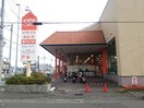 ザ・ビッグ静岡城北店(ディスカウントショップ)まで1984m 東海道本線/静岡駅 バス18分千代田7丁目東部体育館入口下車:停歩3分 2階 築36年