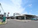 静清信用金庫沓谷支店(銀行)まで585m 東海道本線/静岡駅 バス18分千代田7丁目東部体育館入口下車:停歩3分 2階 築36年