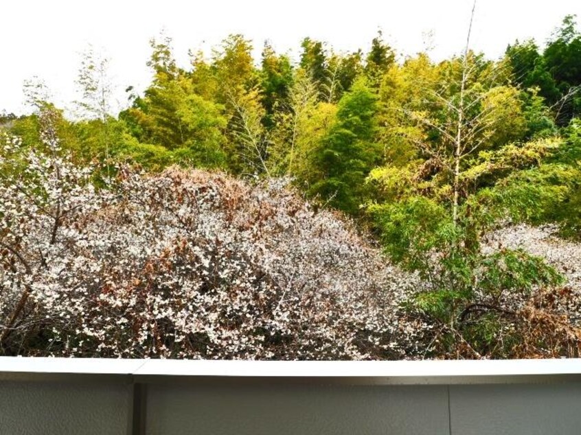  東海道本線/静岡駅 バス11分三松下車:停歩7分 2階 築3年