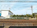  静岡鉄道静岡清水線/古庄駅 徒歩2分 1階 築1年