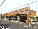 ユーコープ城北店(スーパー)まで353m 東海道本線/静岡駅 バス25分城北高校前下車:停歩2分 1-2階 築1年