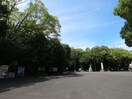 柚木公園(公園)まで666m 東海道本線/東静岡駅 徒歩5分 2階 築10年