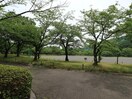 城北公園(公園)まで672m 東海道本線/静岡駅 バス18分安東二丁目北下車:停歩2分 2階 1年未満