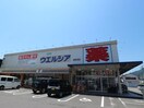 ウエルシア静岡羽鳥店(ドラッグストア)まで1737m 東海道本線/静岡駅 バス27分県工業技術研究所下車:停歩5分 1階 築1年