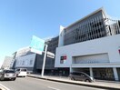 ＭＡＲＫ　ＩＳ静岡(ショッピングセンター/アウトレットモール)まで1931m 静岡鉄道静岡清水線/長沼駅 徒歩12分 1階 1年未満