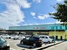 杏林堂薬局瀬名川店(ドラッグストア)まで1494m 東海道本線/静岡駅 バス24分川合下車:停歩7分 1階 築25年