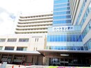 静岡市立静岡病院(病院)まで1129m 東海道本線/静岡駅 徒歩24分 4階 建築中