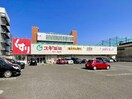 スギ薬局池田店(ドラッグストア)まで1228m 東海道本線/東静岡駅 徒歩7分 4階 建築中
