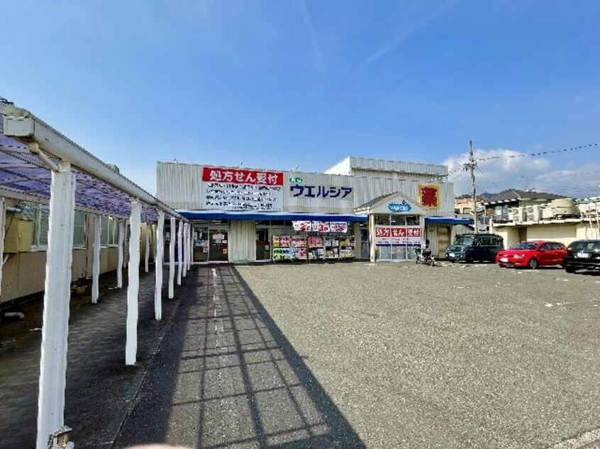 ウエルシア静岡用宗店(ドラッグストア)まで795m 東海道本線/用宗駅 徒歩9分 1-2階 築15年