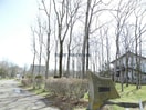 鶴ケ岱公園(公園)まで722m パークサイドＱ