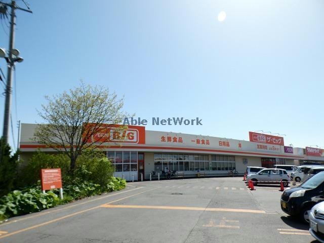 ザ・ビッグ川北店(ディスカウントショップ)まで1418m グランレゼルバ