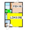 ドリーム２１ 1LDKの間取り