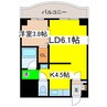 セフィーラ光陽 1LDKの間取り