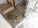  シャルロット愛国