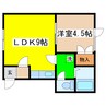 ミストハウスⅡ 1LDKの間取り