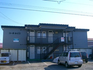 ｺｰﾎﾟみどり