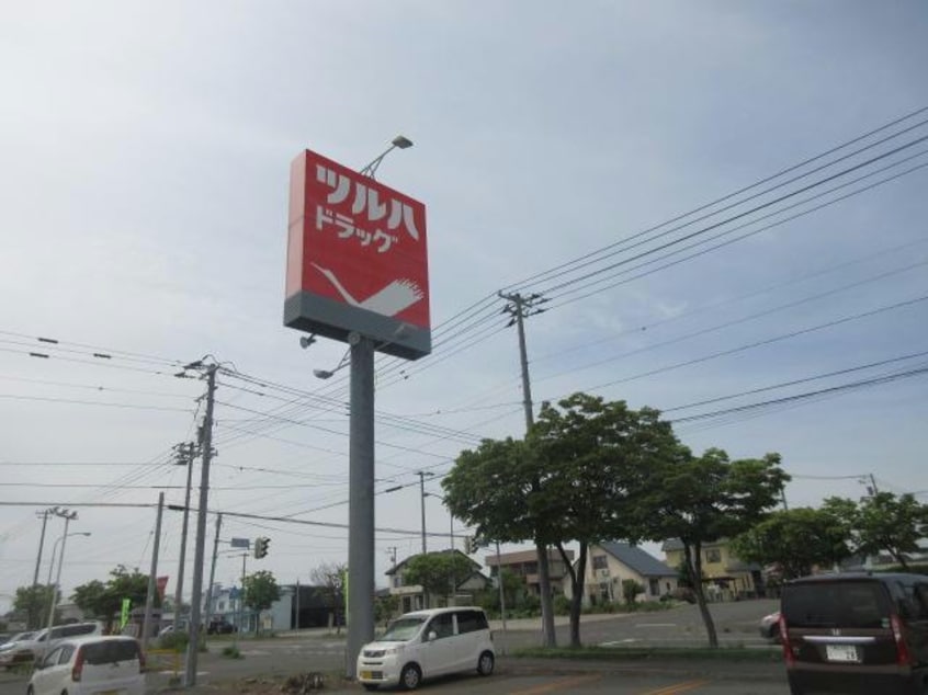 ﾂﾙﾊﾄﾞﾗｯｸﾞ西12条店(ドラッグストア)まで673m ｼﾝｾｲﾊﾟﾚｽ