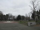 中央公園(公園)まで558m パシフィック西6条プライム